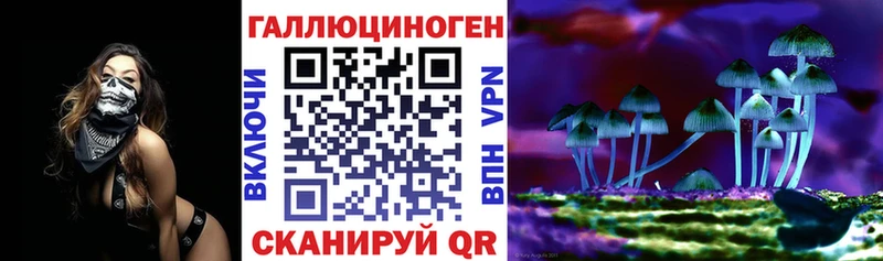 Купить где  Томмот  Псилоцибиновые грибы MAGIC MUSHROOMS 